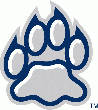 New Hampshire Wildcats 2000-Pres Alternate Logo v3 DIY iron on transfer (heat transfer)